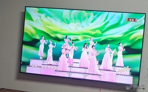 春晚越来越像大杂烩，众多女明星一起合唱一首歌，唱歌其实也没什么问题，但是你如果强