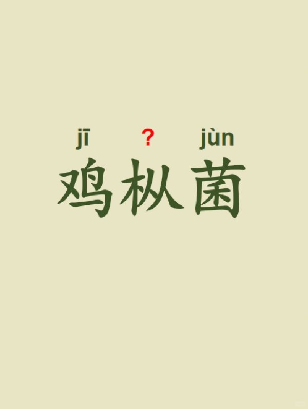 今天来学习——鸡枞菌