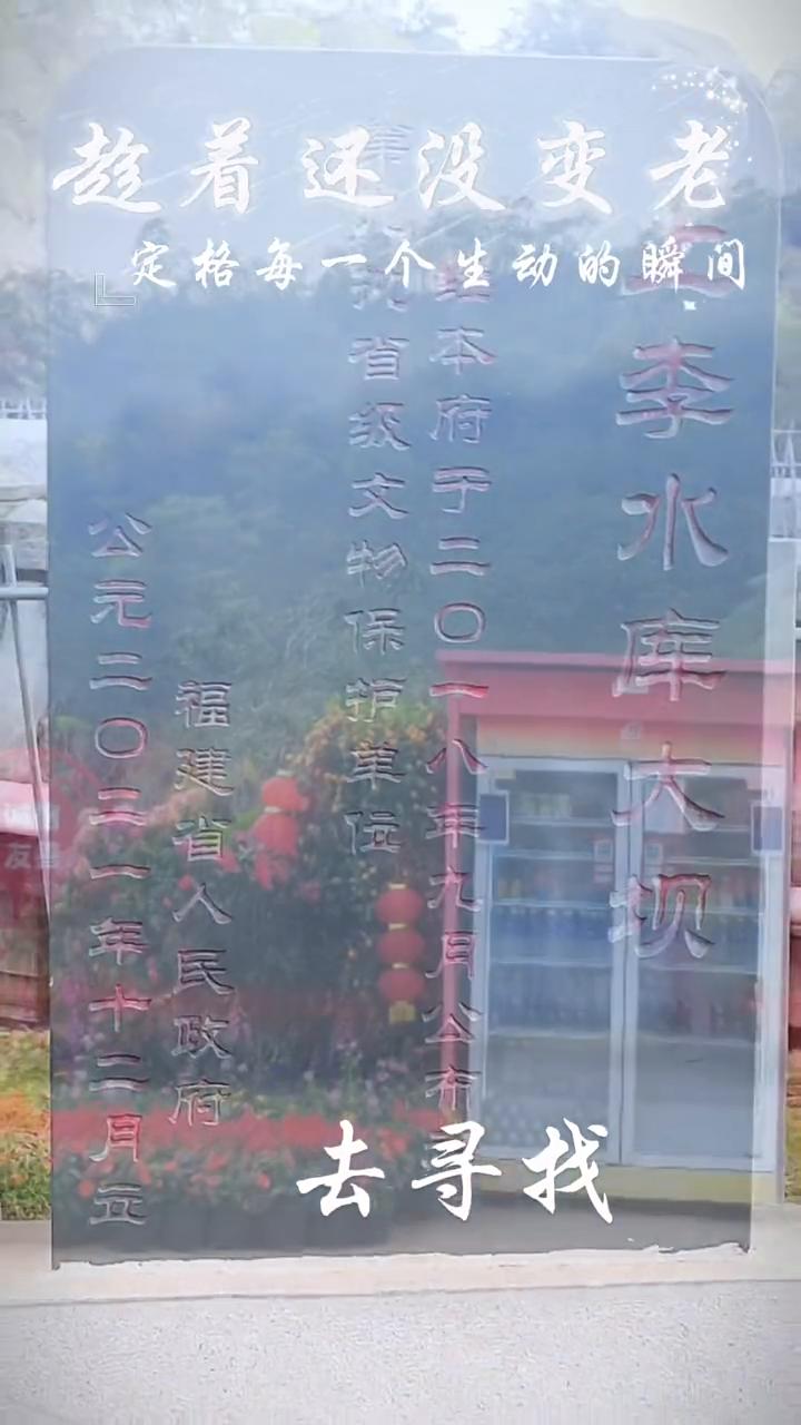 趁着还没变老，定格每一个生动的瞬间，去寻找快乐。