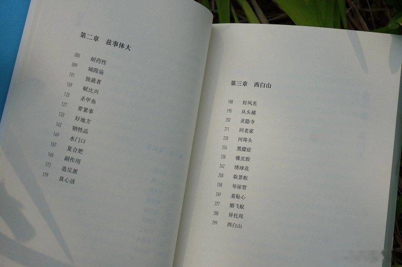 文学汇 他世界丨就像身上沉睡着的一个秘密身份被唤醒，随之而来的那股子兴奋劲，简直