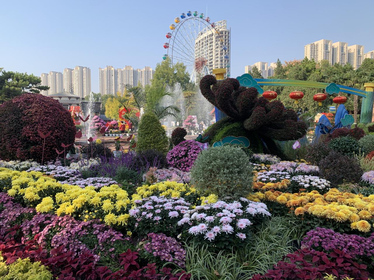 两个苦命的女人撑起的家
 
在我的记忆里，表嫂和舅妈就像两棵并肩生长的树，用并不