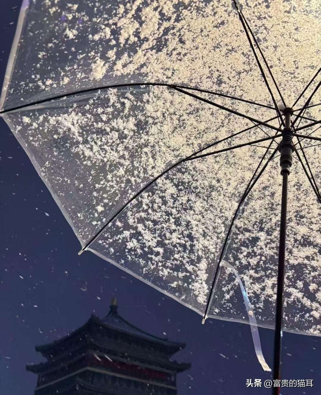 本再高也要硬撑！日本执意押注国产稀土，背后藏着真实考量

其实日本大力发展国产稀