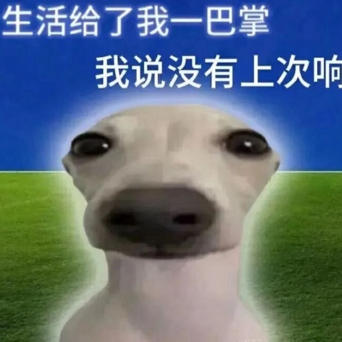 忘记抢楼了 