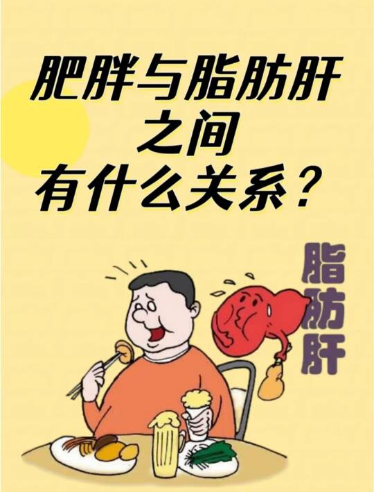 肥胖与脂肪肝之间有什么关系？