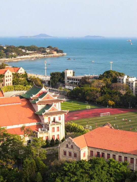 如果小说有画面，那一定是厦门大学的模样