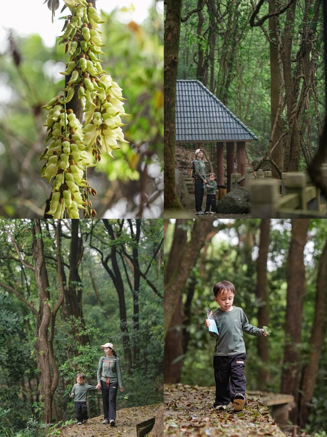 广州｜一定不要错过这个秘境探险森林公园