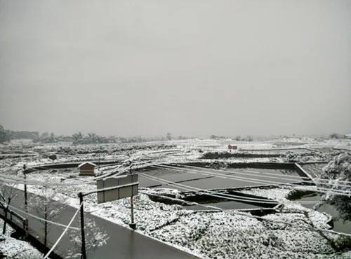 分享相册的雪景
