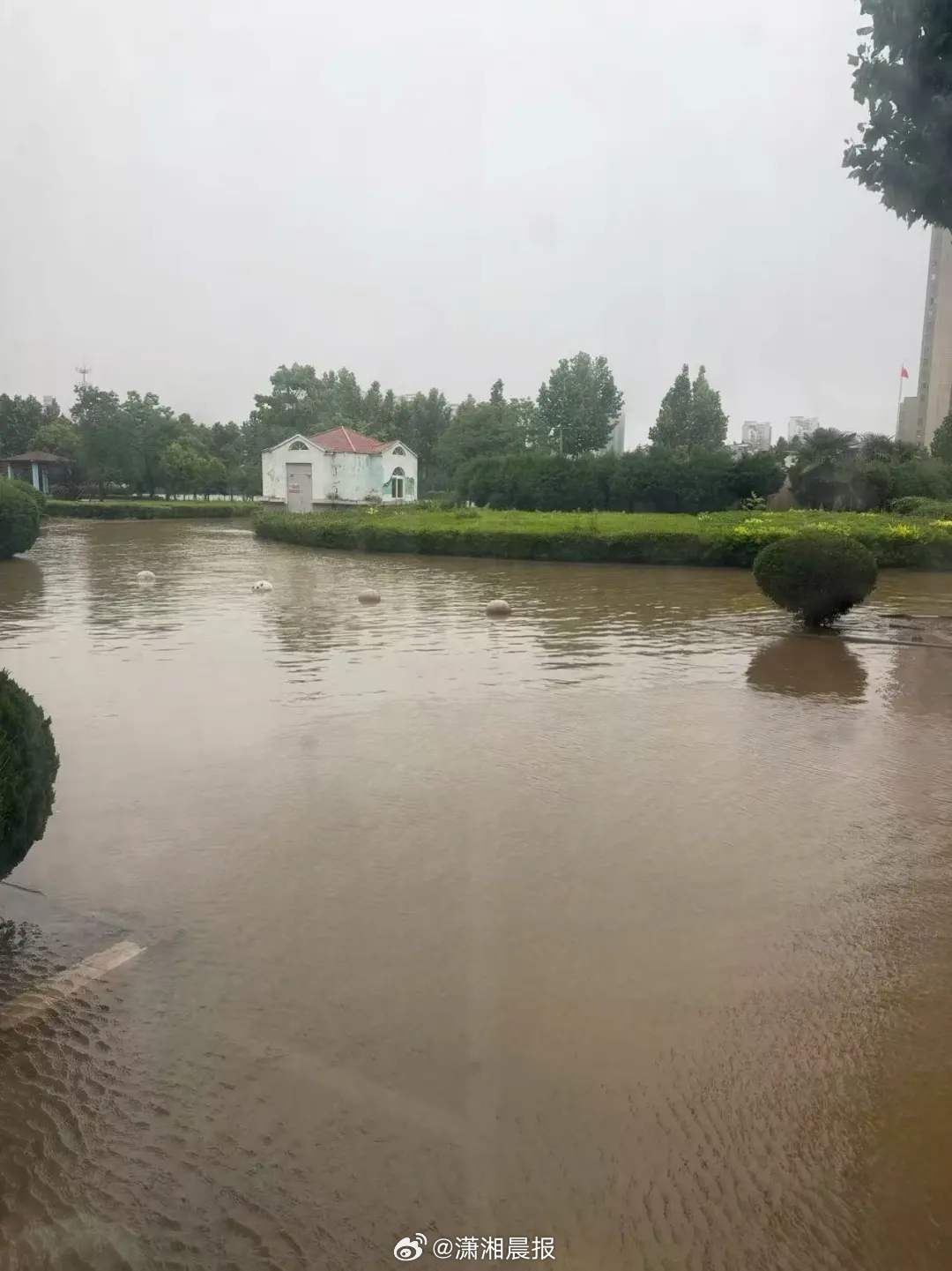 【#连云港暴雨有小车被淹至车顶#，#连云港暴雨部门高校停课#，大学生：怕电动车电