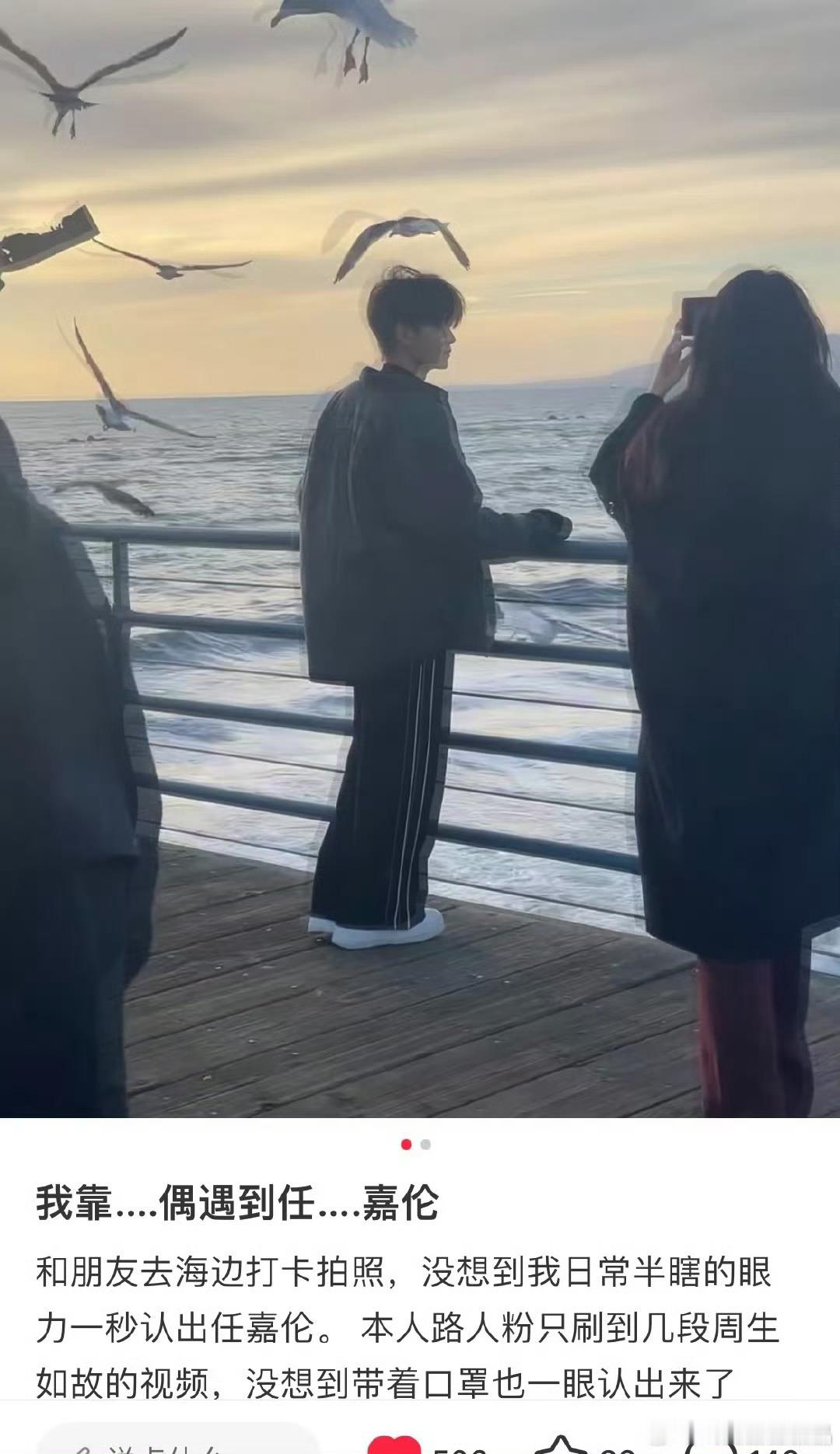 网友在海边偶遇任嘉伦看海鸥了，羡慕这个网友，国超好好玩，等不了多久就该进组了[哈
