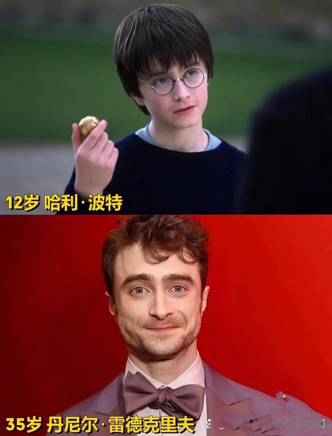哈利波特今昔对比，谁长残了😭😭 ​​​