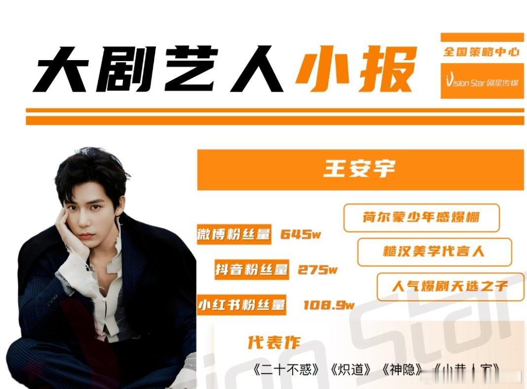 【年末盘点】业内对艺人的定位之王安宇:荷尔蒙少年感爆棚、糙汉美学代言人、人气爆剧