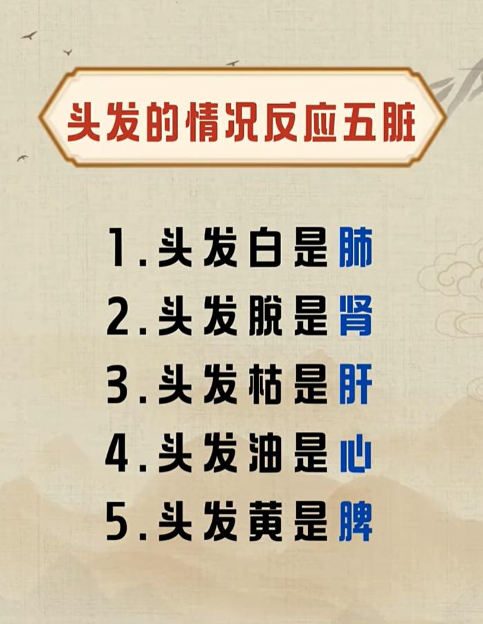 中医科普：从头发的状态，看懂五脏的变化
