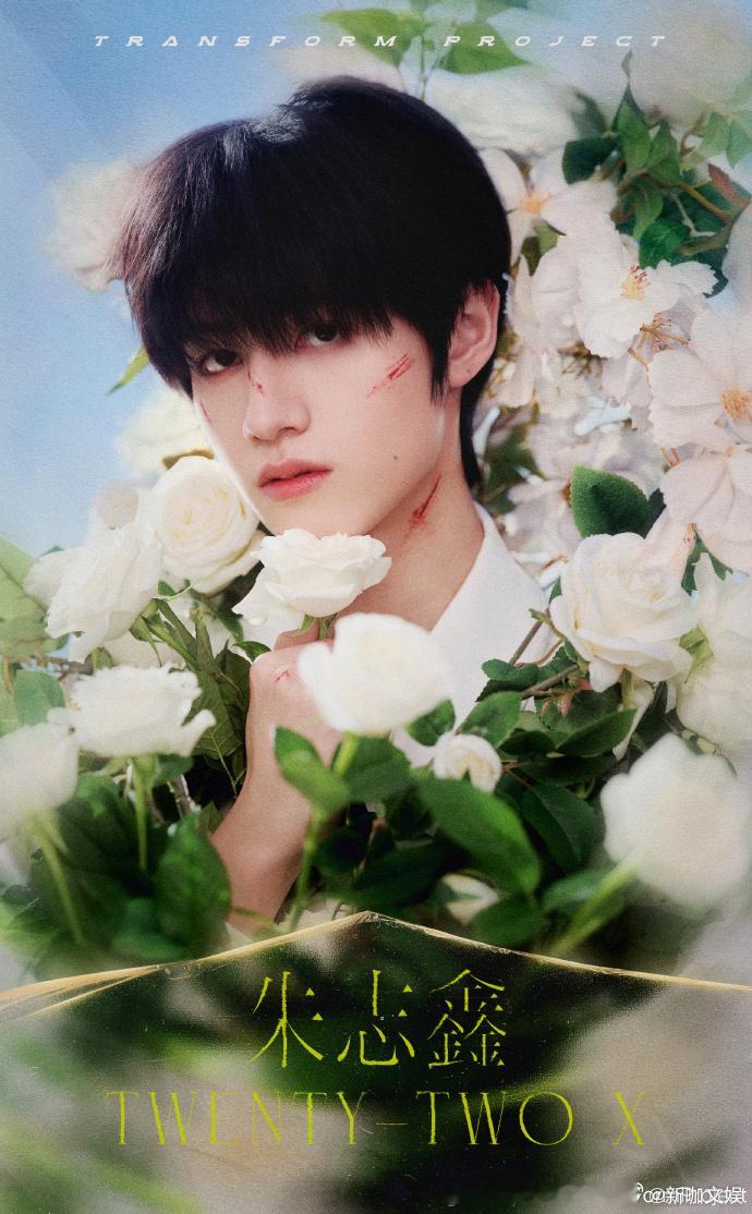 #TF三代荆棘少年海报公开##TF三代荆棘海报大片#TF 三代用荆棘海报诠释少年