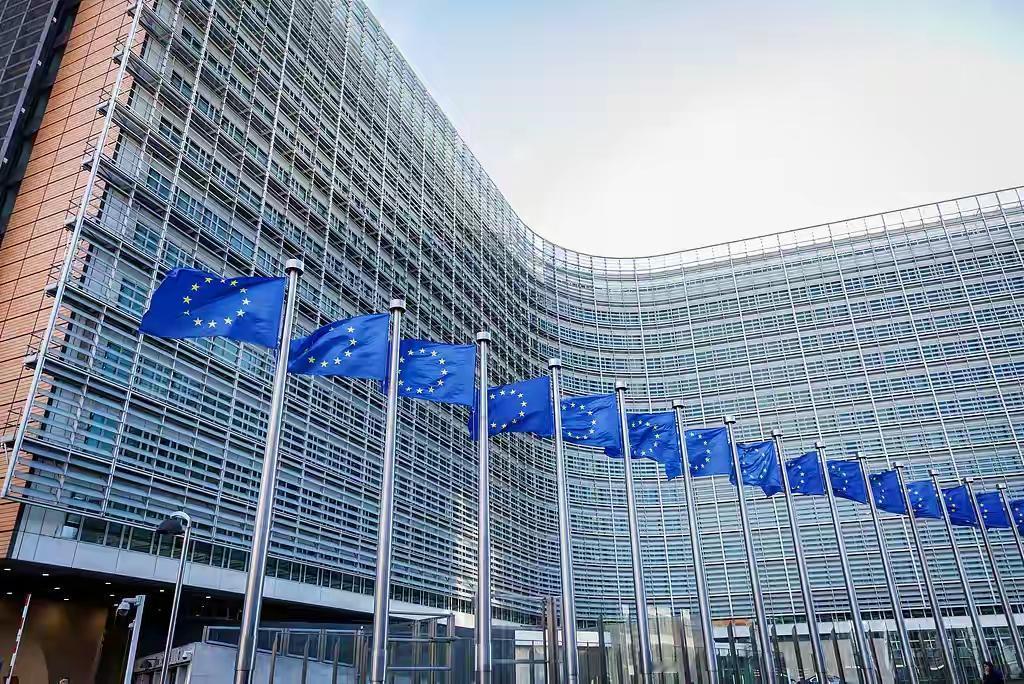 11月22日，欧洲理事会、欧盟委员会、德国、法国、加拿大、爱尔兰、意大利、西班牙