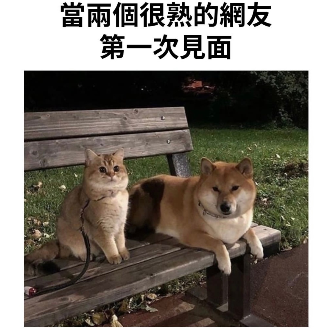 我和我的互联网好友！#meme# ​​​