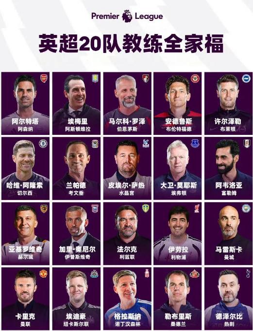 新赛季英超20支球队主帅，你们认为谁会最先下课？
其实感觉除了塔子、埃梅里这种，