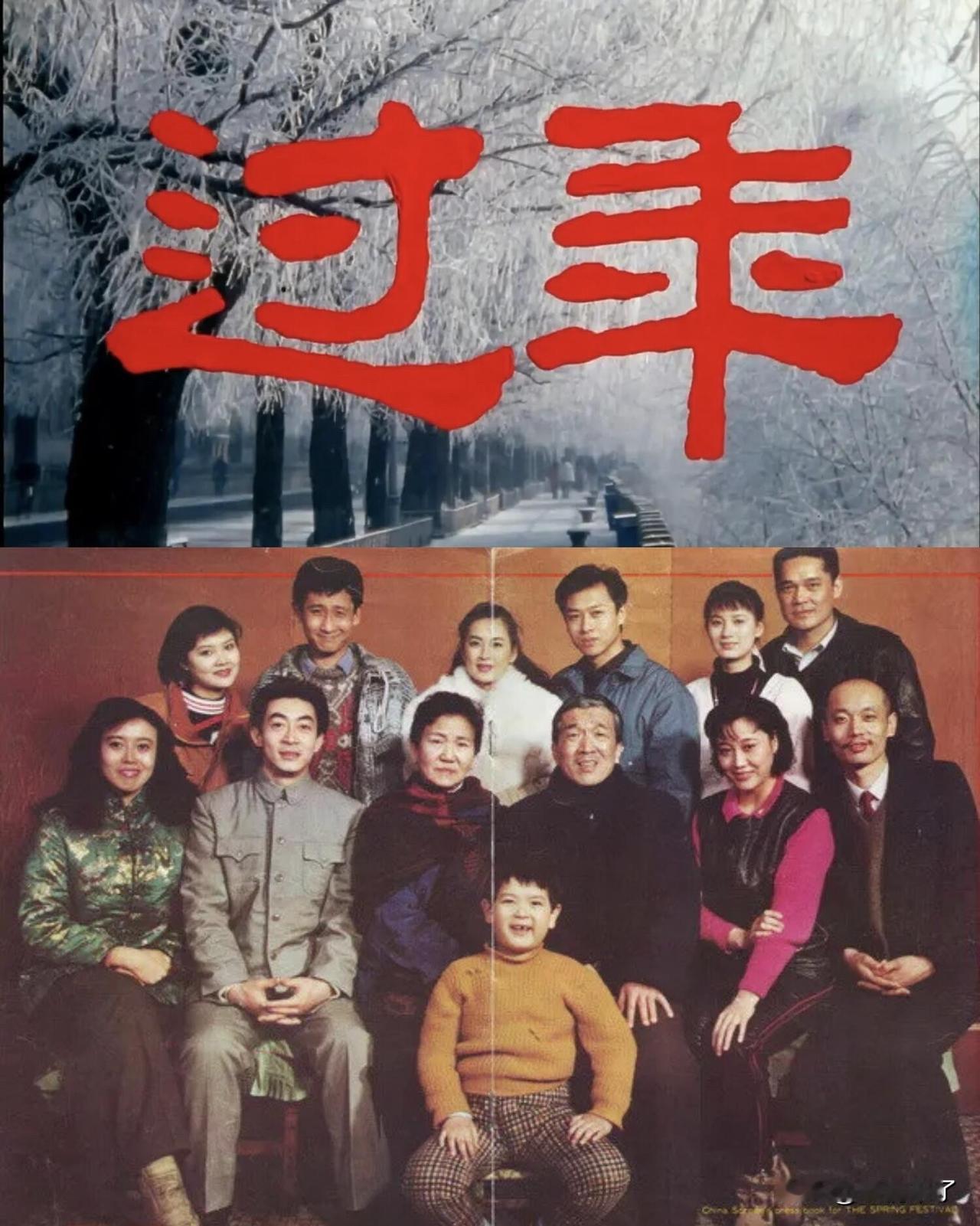 中式家庭的鸡飞狗跳都在这部《过年》里了，确实，家家有本难念的经。我也常常在想，这