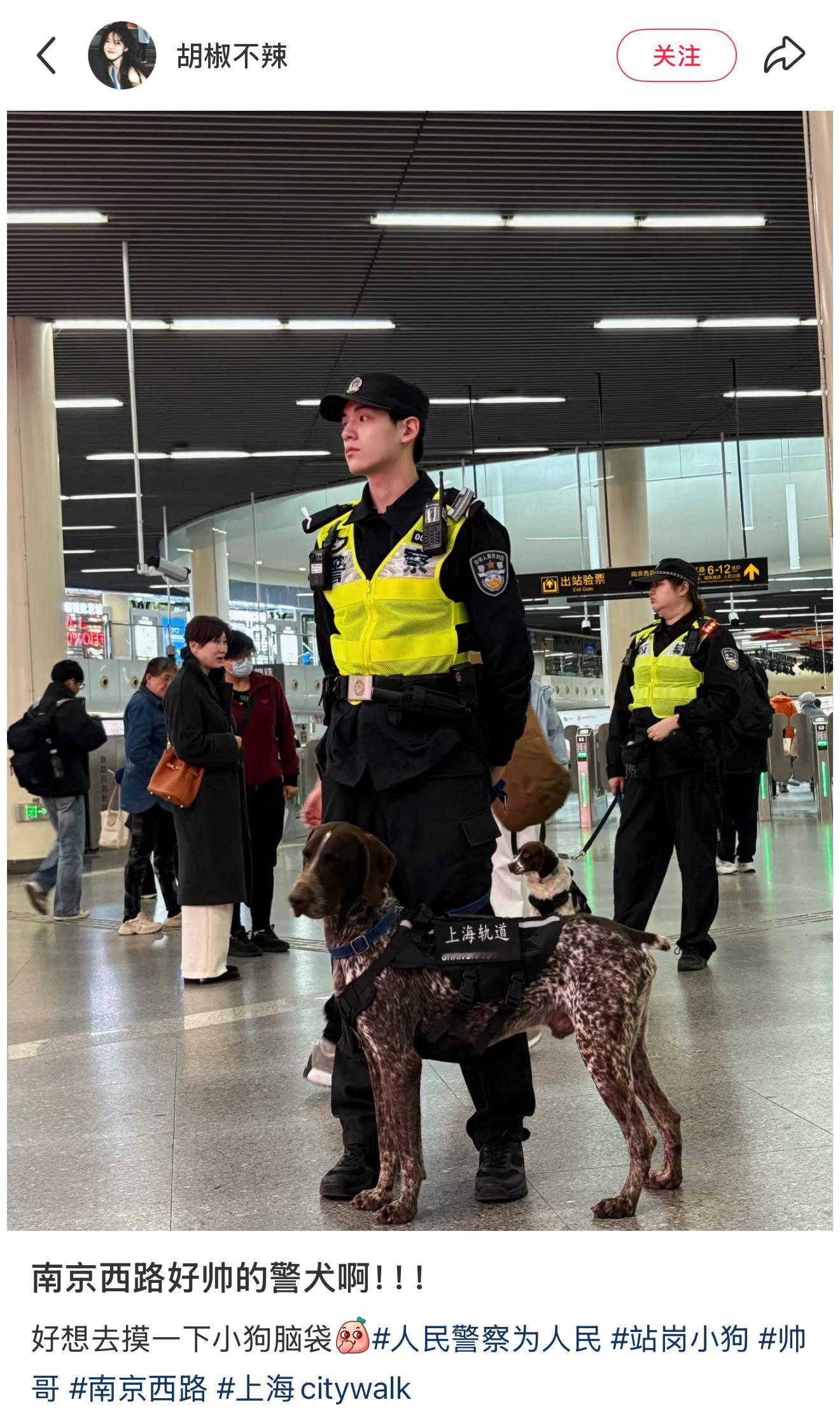 “醉翁之意不在犬”这个小顾警察帅的像文艺片男主！ 