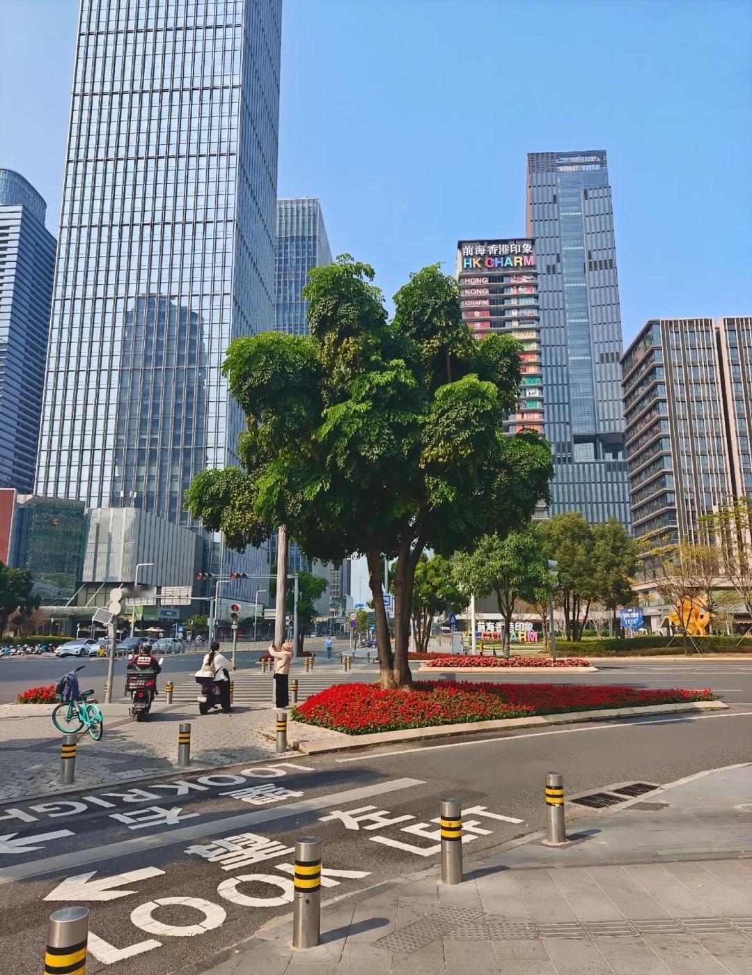 绿化带 城市风景线