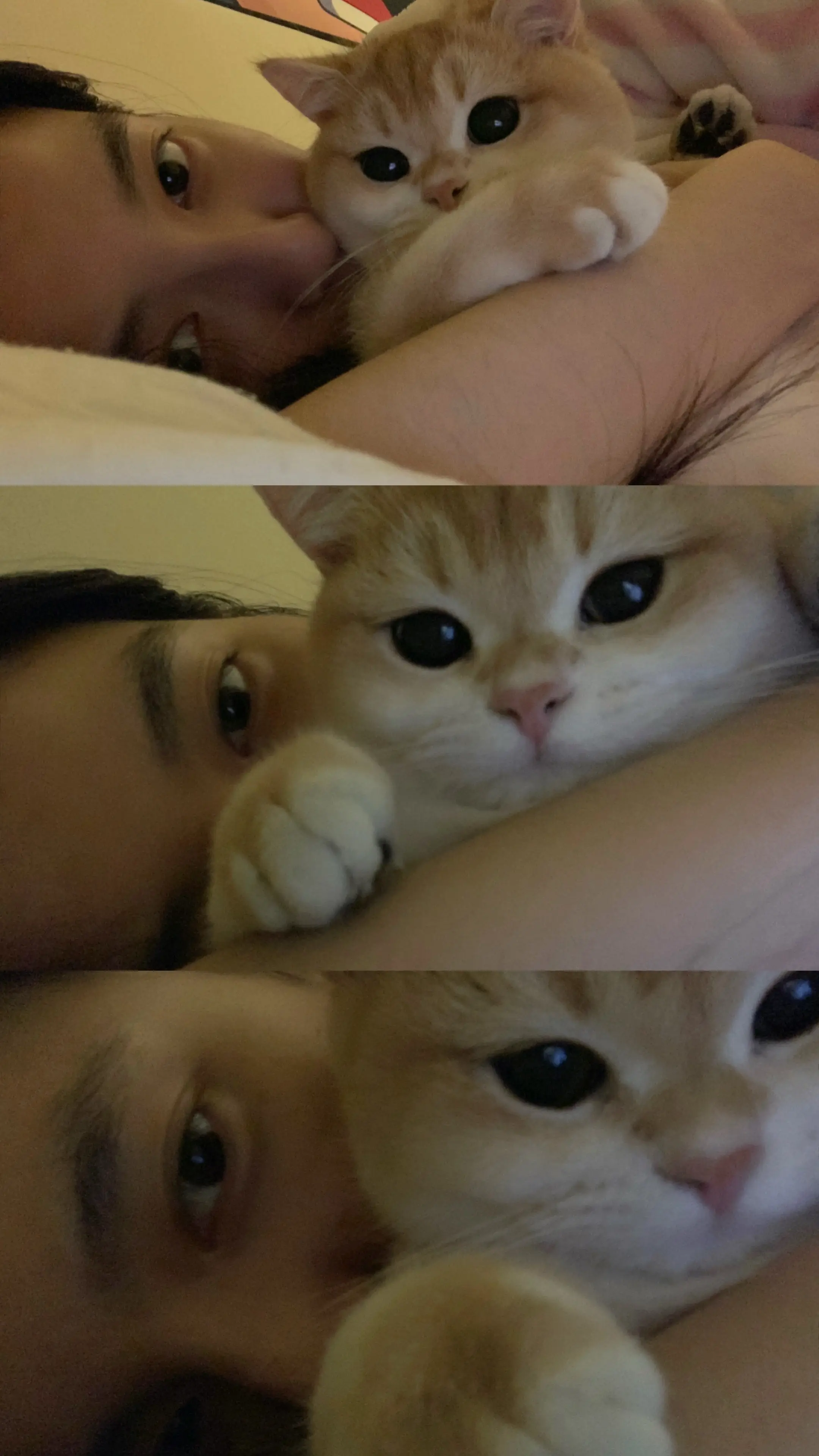 有妈的孩子像块宝🐱🥰💓。我的宝贝睡的太香了～