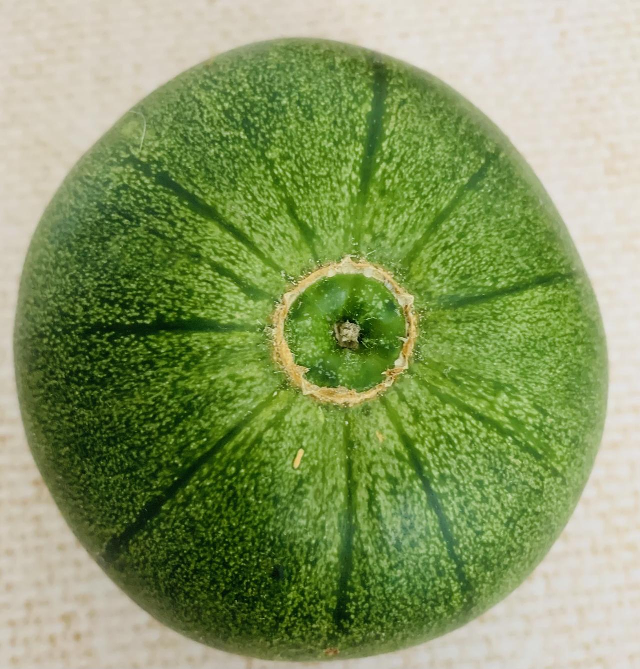 在某个小型超市买的绿宝香瓜，时间近一个多月了，不但不坏，颜色依然光鲜，吓得不敢吃