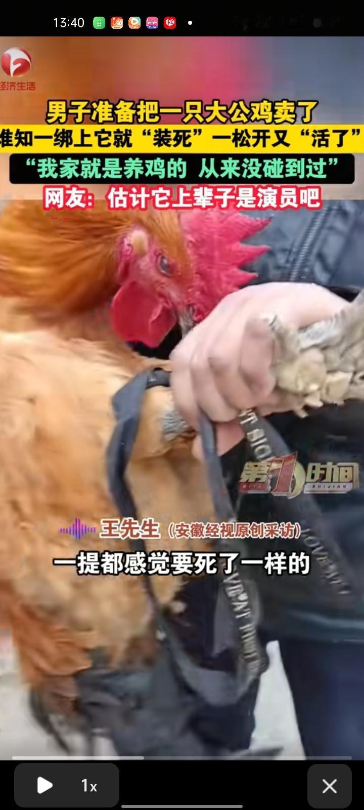1月4日，宿州市灵璧县。男子准备把大公鸡卖了，谁知一绑上就“装死”，一松开就“活