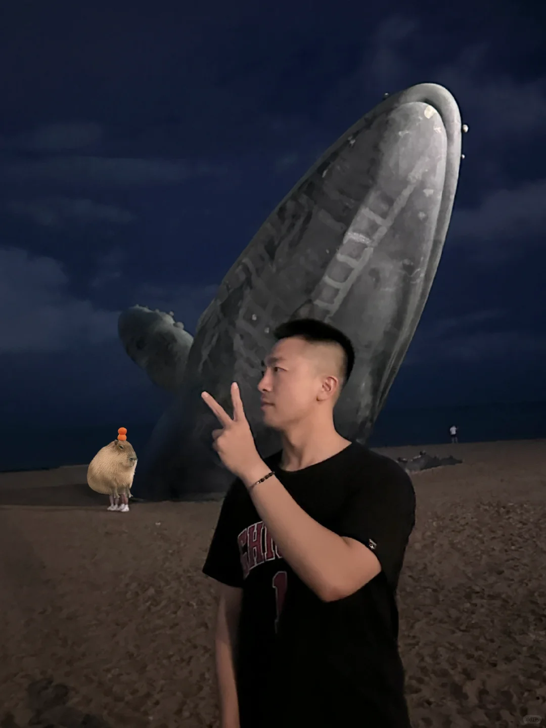 鲸，你要坚定我，我才能发挥我百分百的甜