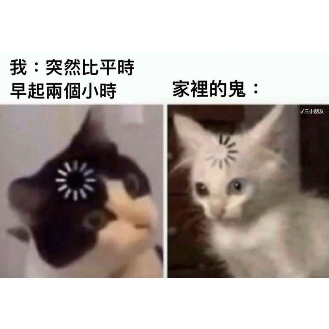 吓我一跳#meme# ​​​