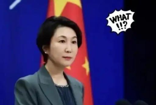 特朗普还想访华？毛宁一句回应，直接让他坐不住了！
面对记者提问，毛宁明确表示目前
