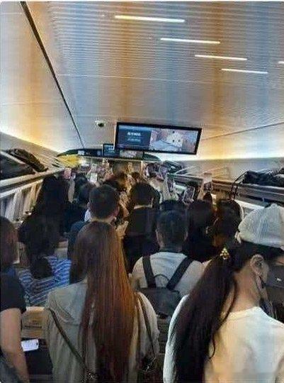 tg 杨博文高铁实况 