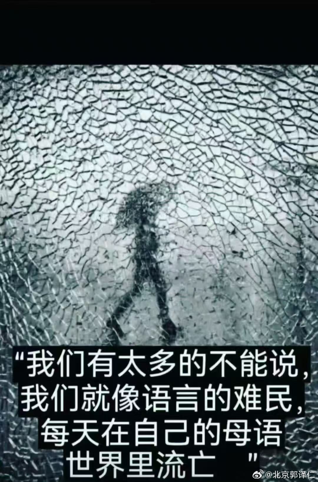 伊朗、伊拉克的母语区别英美法系语言，北韩的母语则与南韩一脉相承，但南朝的年轻人说