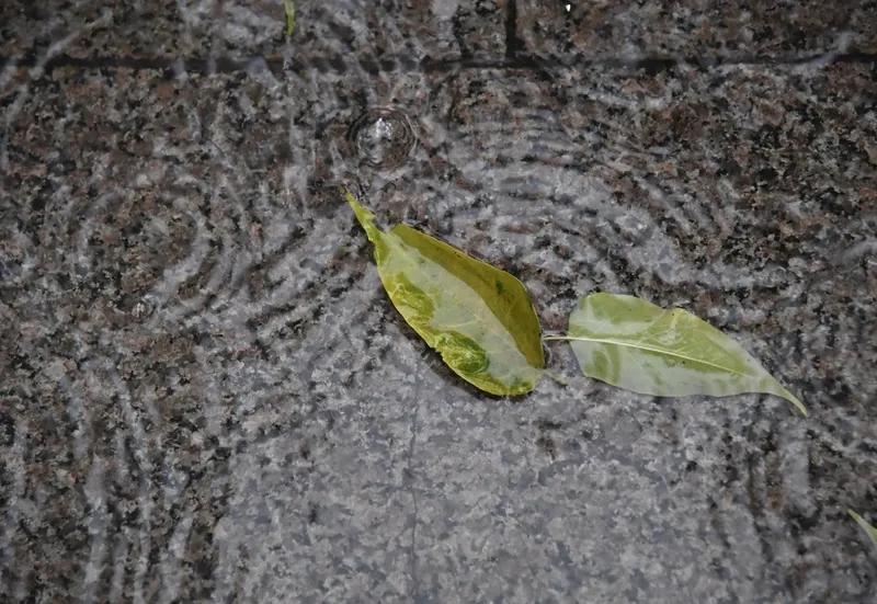 上联“春风化雨千山绿”，下联可以是“秋露凝霜万木黄”。春风带来雨水让千山变绿，而