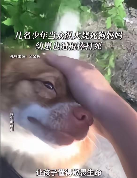 看到那段视频，很多人手心发凉，火光一跳，笑声一响，心里直冒寒气。6月30日，广东