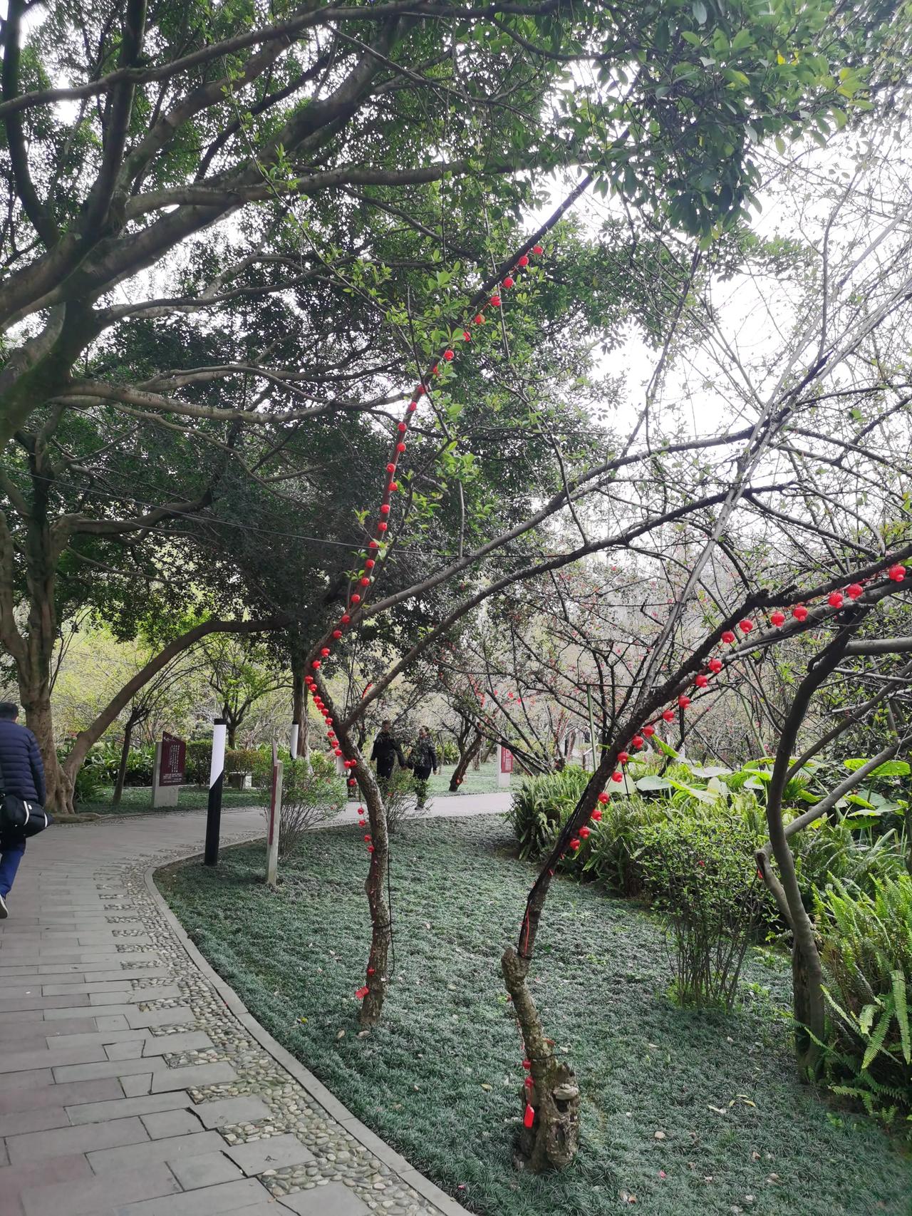 现在的我，是那么听现代戏曲，在听的过程，有代入感。昨天早上送完孩子上学，我到菜市