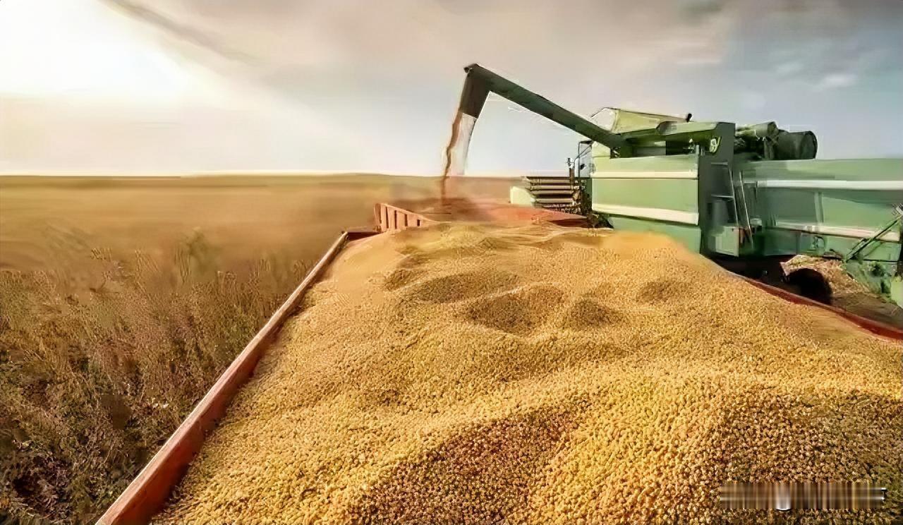 谁能想到！
我们买800万吨美国大豆，
换来了这样的“回报”，更过分的是，他们还