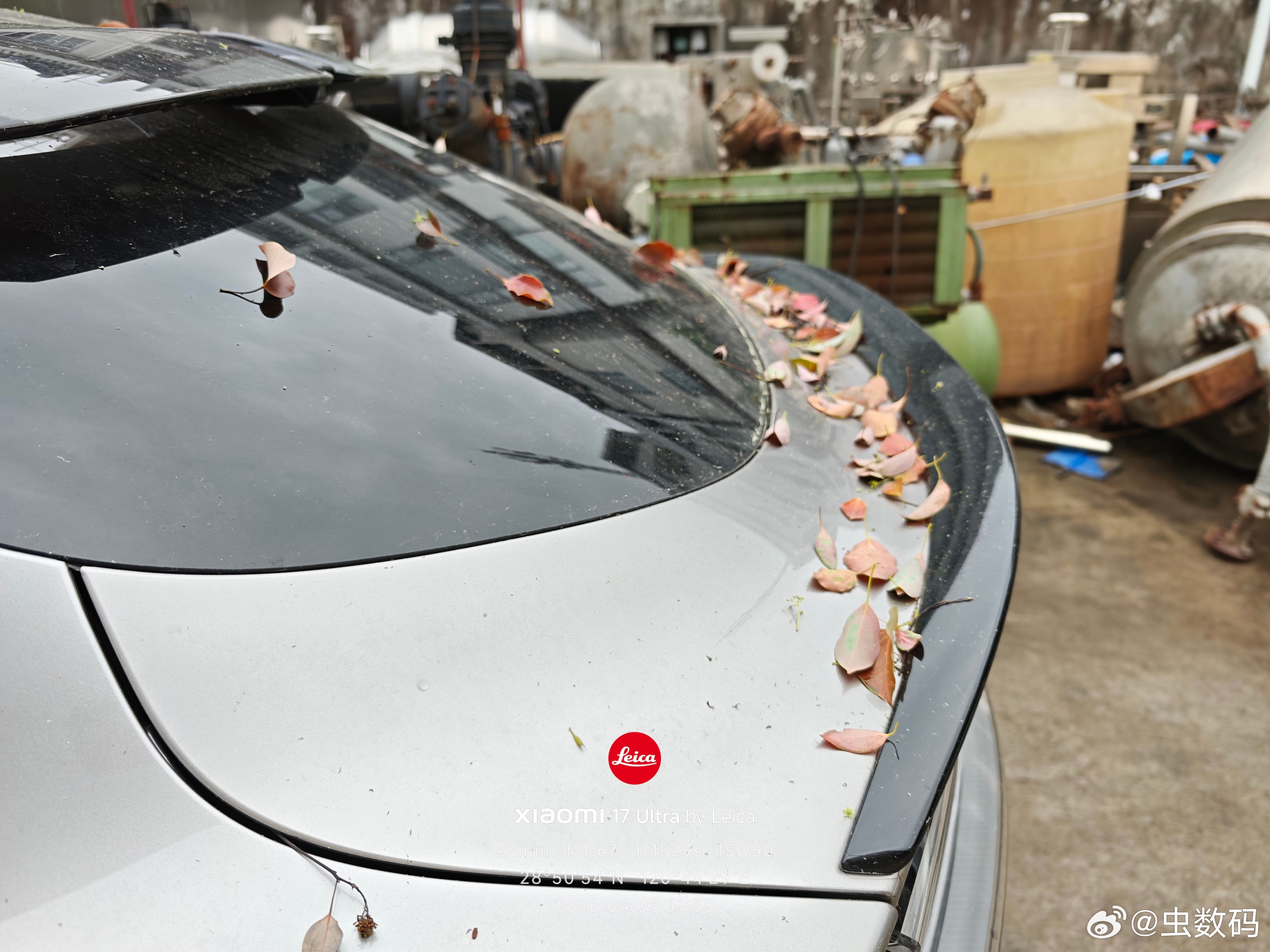 南方的这个天，真难受，车刚洗，马上就灰头土脸的了。全身都是落叶，灰尘，你受得了吗