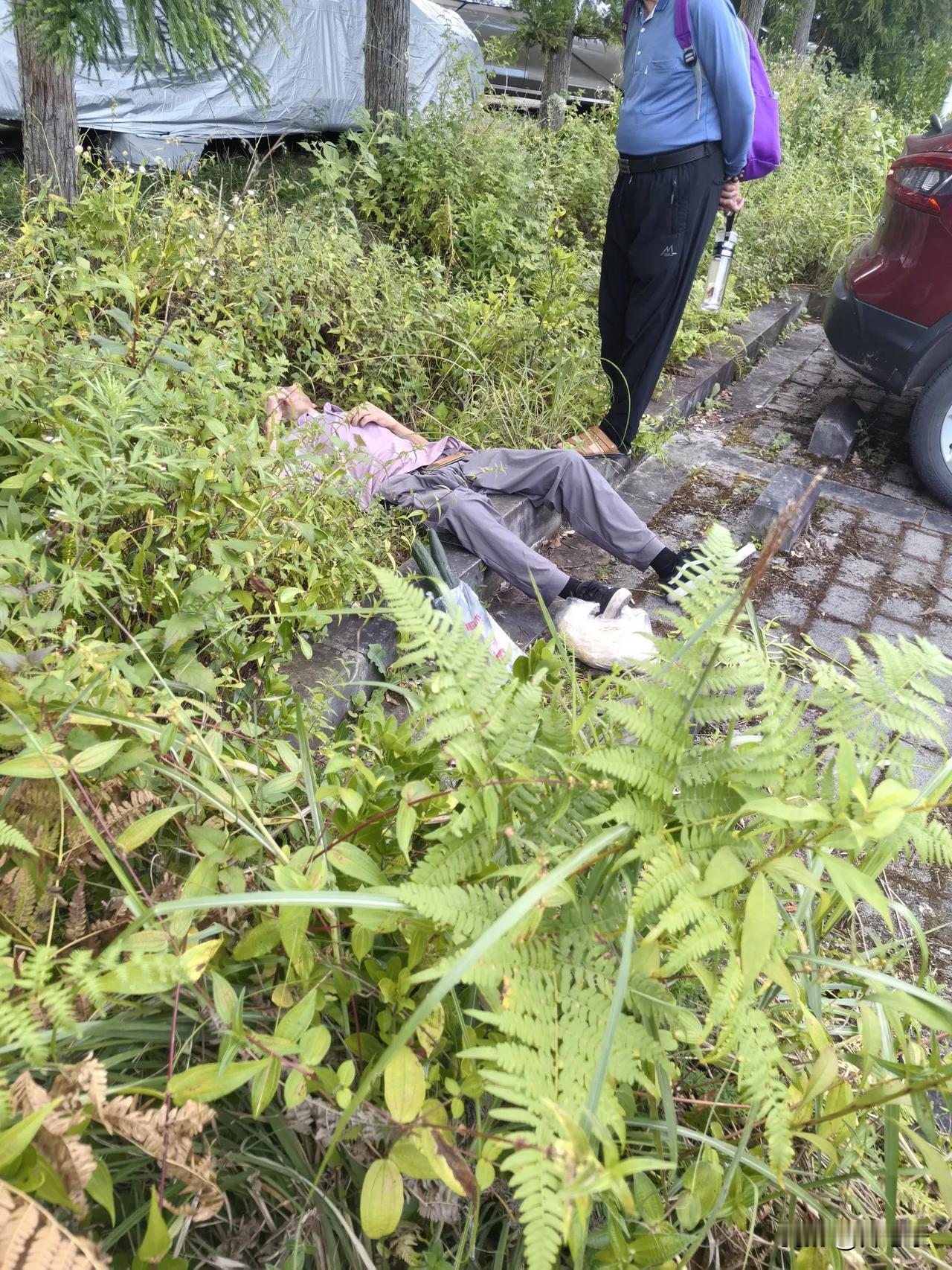 清晨的一场突发与一群热心的路人，温暖了凤凰街的停车场

清晨健步走结束，路过凤凰