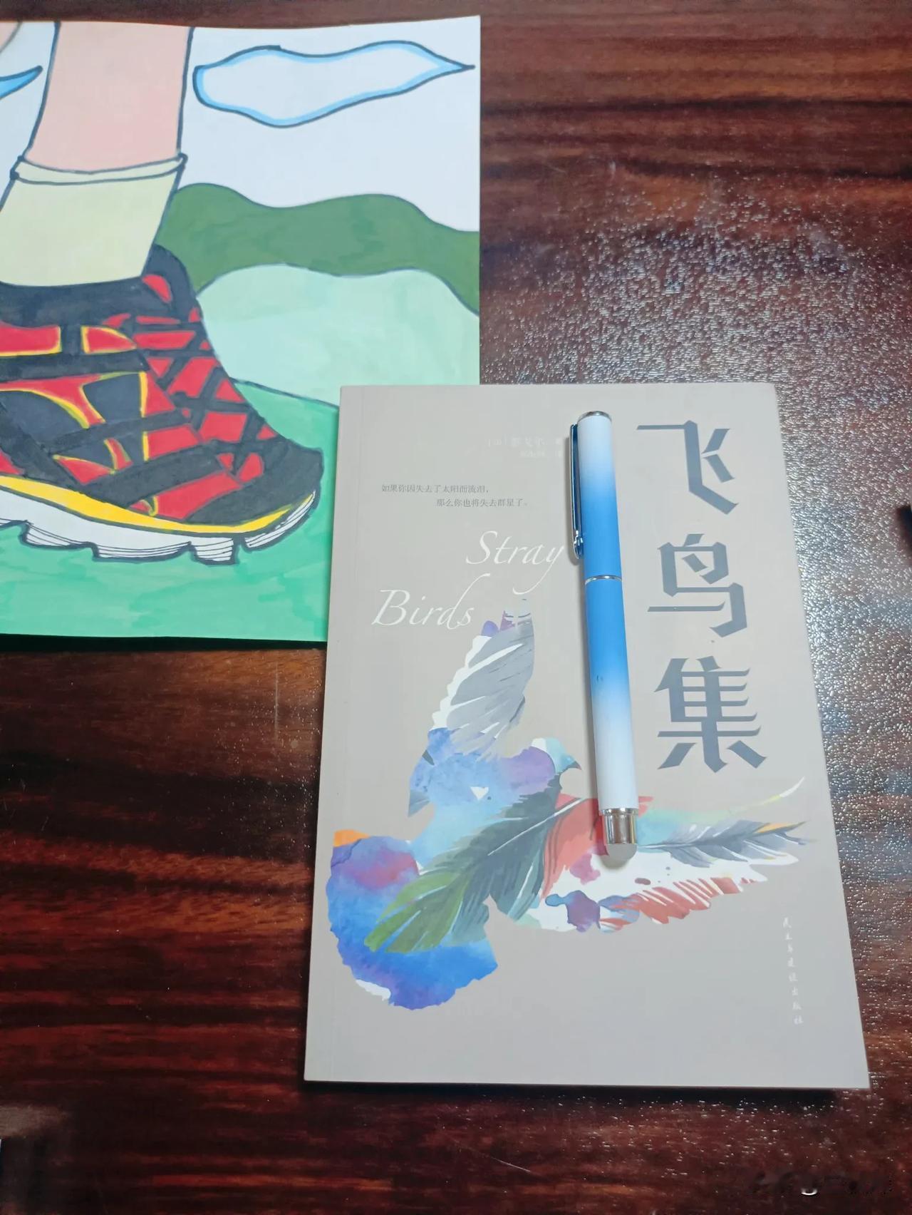 我早就听过泰戈尔这个名字，却一直没有拜读过他的作品，今天拿了一本他写的《飞鸟集》