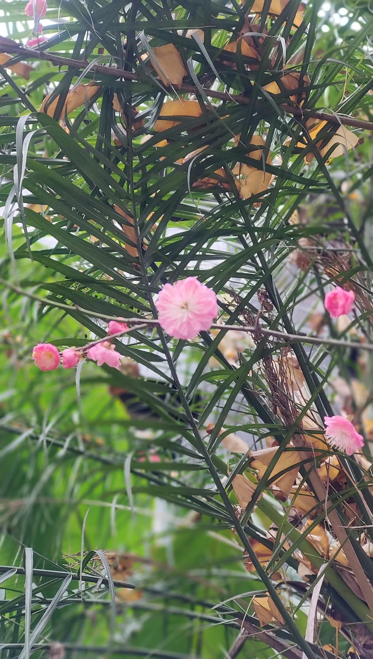 分享一张你最近随手拍的照片吧