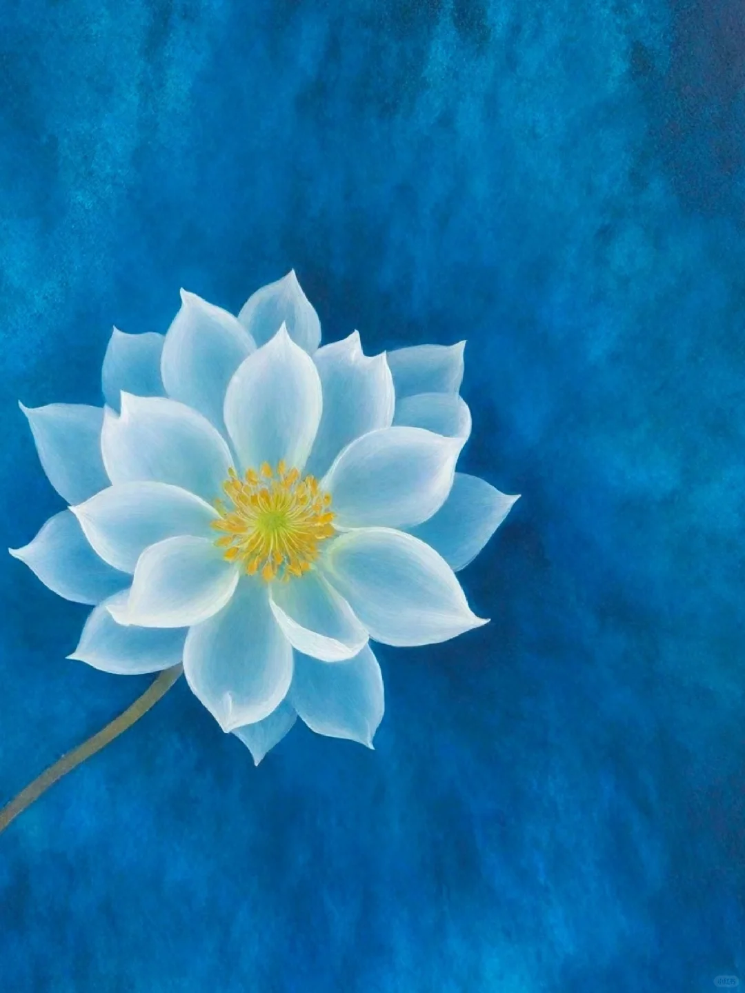 吾师书中著曰：陽明，两陽合明，谓之陽明。 	 太陽少陽之后 陽气由初始...