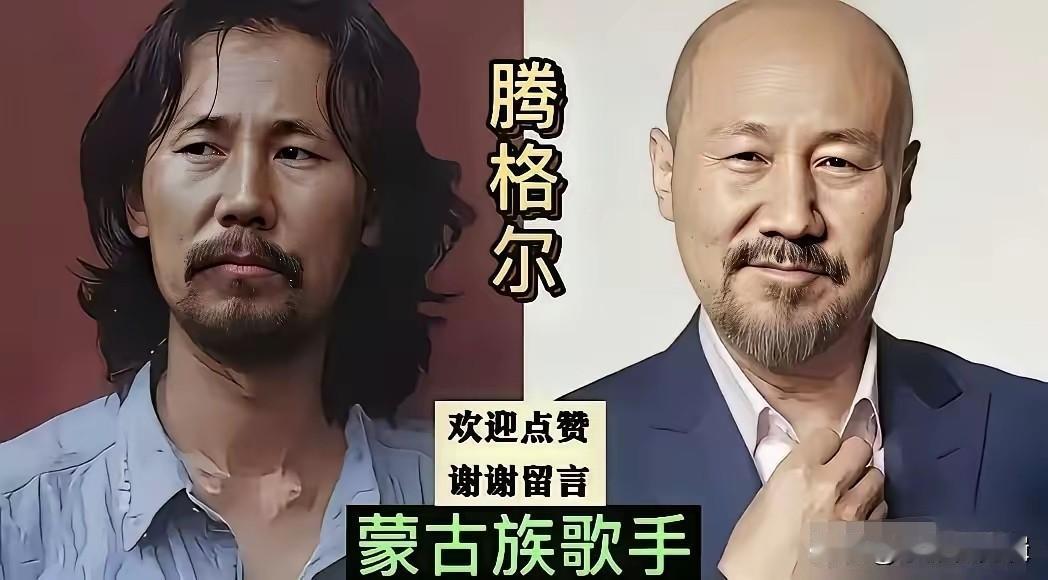 腾格尔是蒙古族的
阿幼朵是苗族的
刘媛媛是苗族的
才旦卓玛是藏族的
这些优秀的少