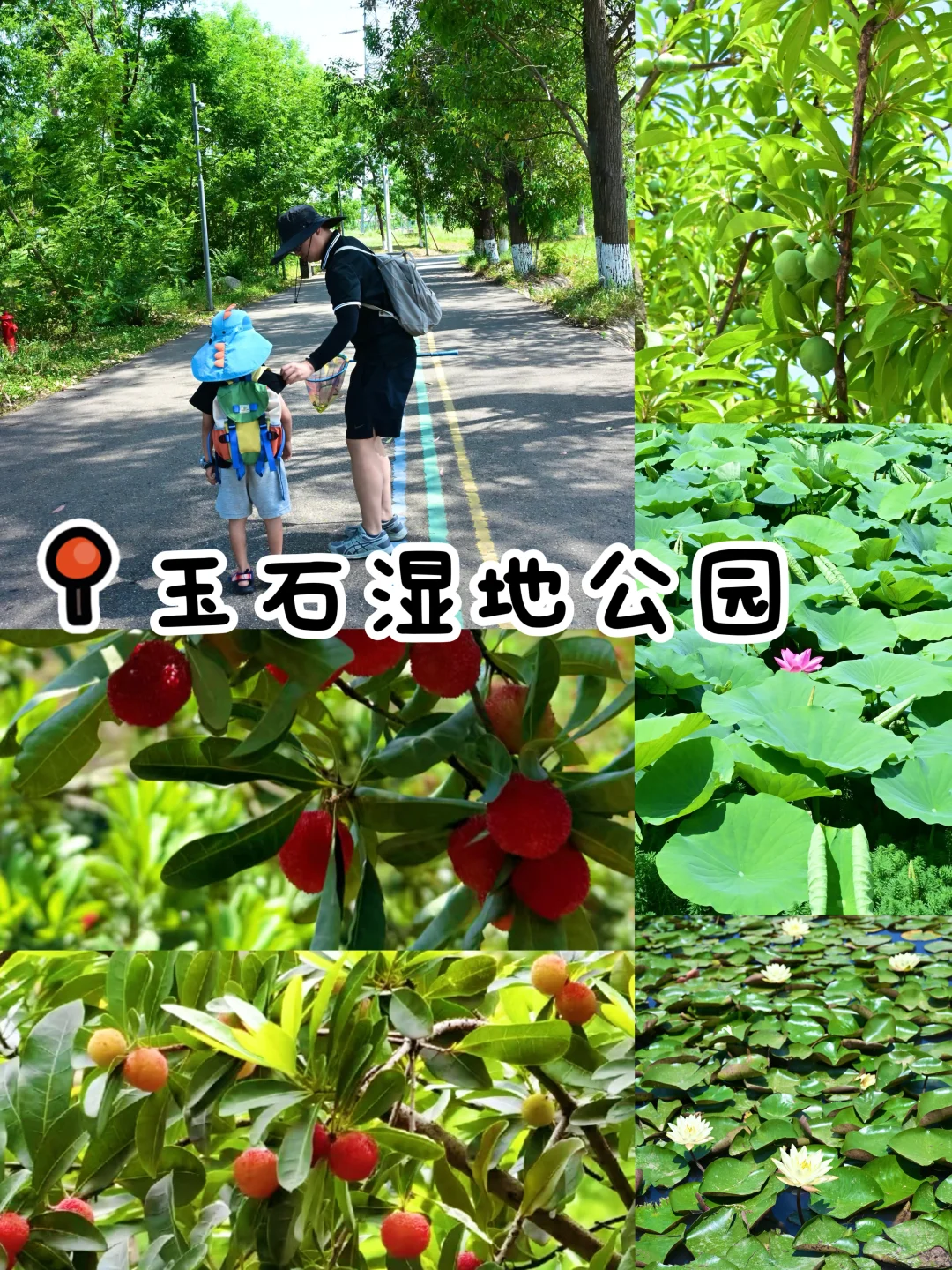成都周边1h‼️值得二刷的一个宝藏公园啊