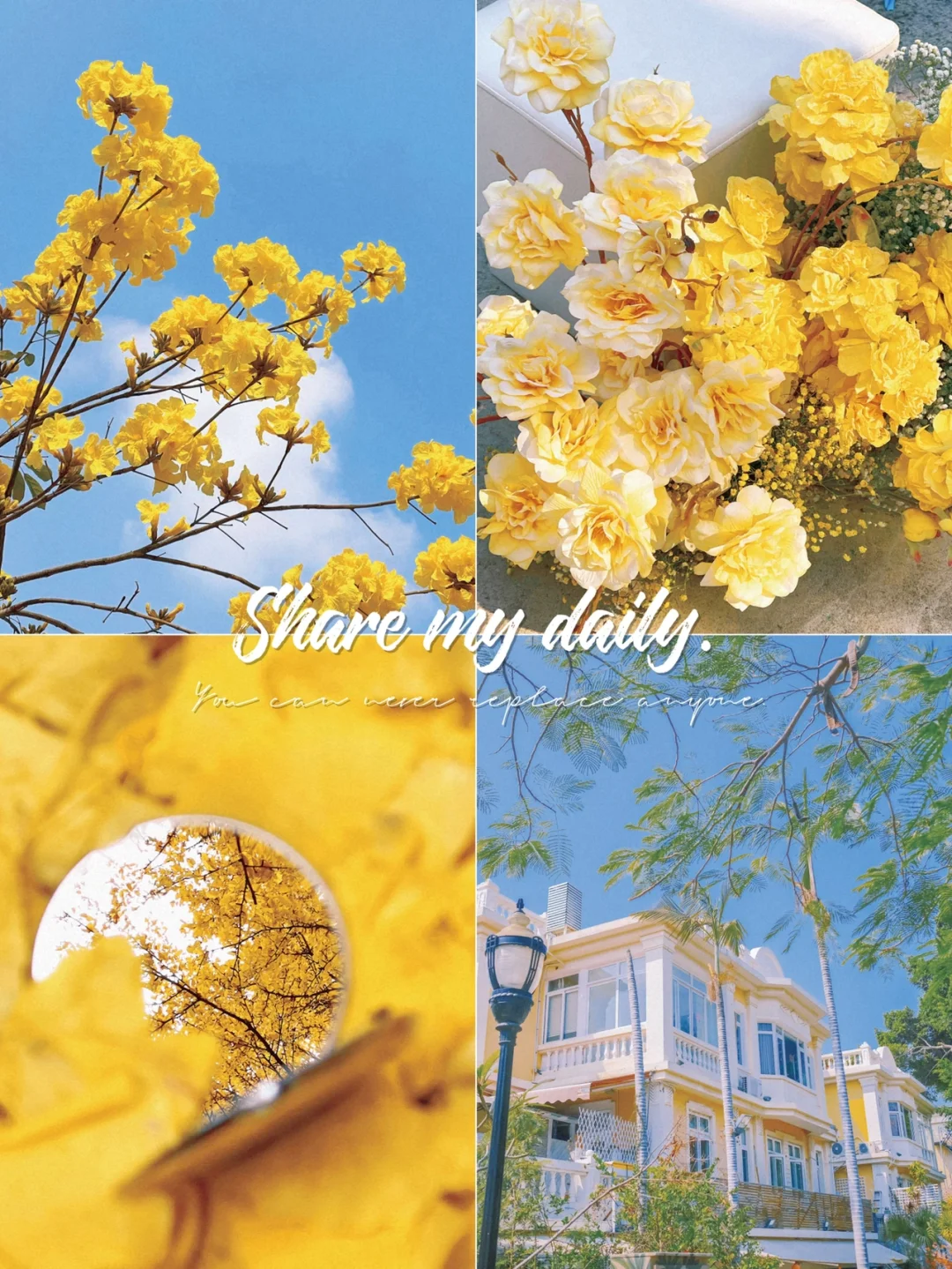 ✨黄油📷这滤镜也太适合秋天了吧❗拯救废片