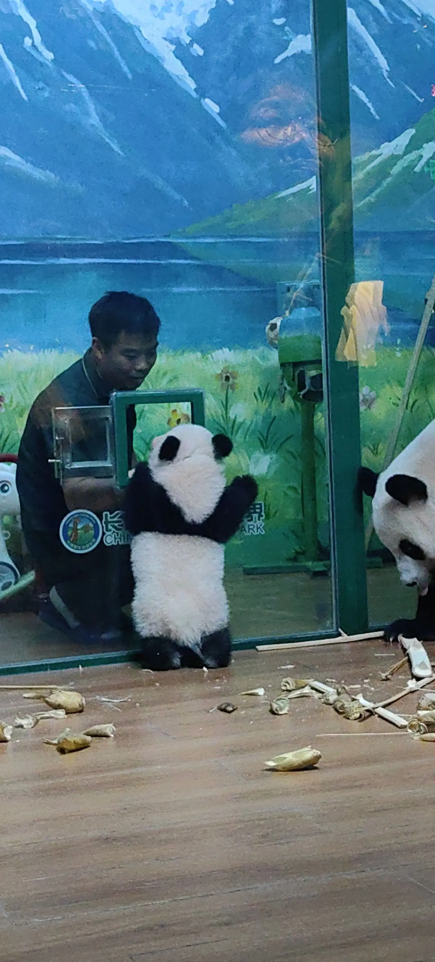 这画面妹猪像极了在跟外公讲条件😂为什么没有儿童餐😎