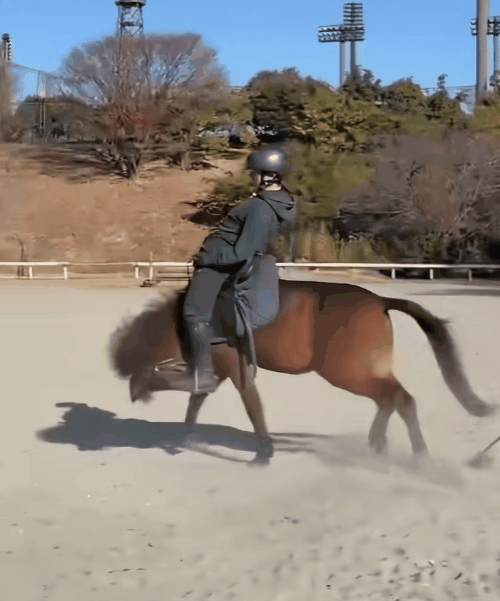 这张图看一次笑一次，俗话说“骑马骑当间儿，骑驴骑屁股蛋儿”，哪有骑马的时候骑脖子