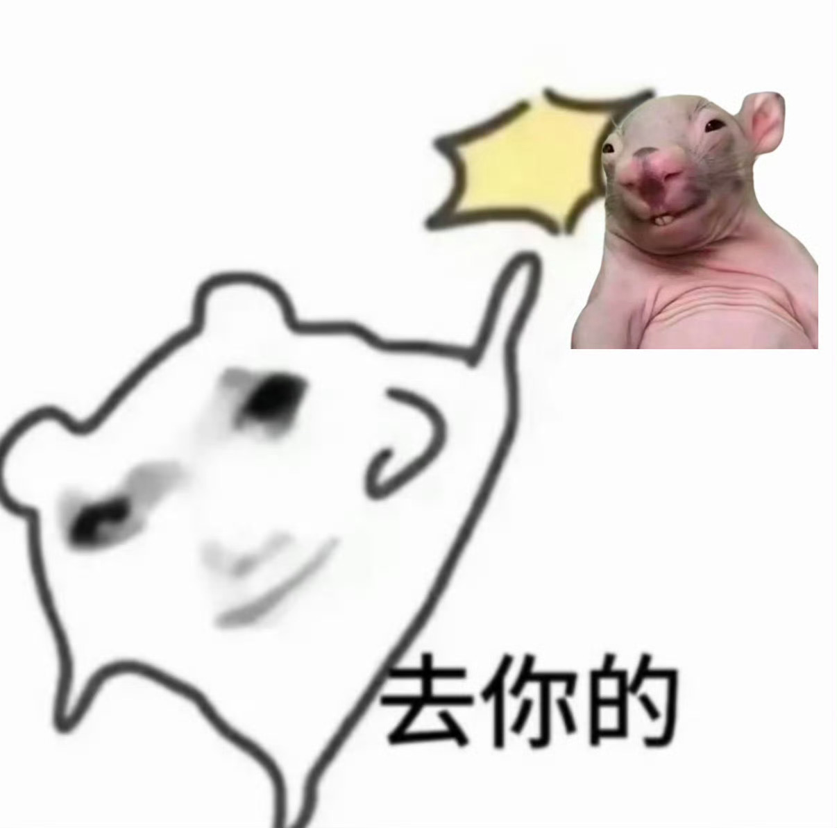 分享图片 