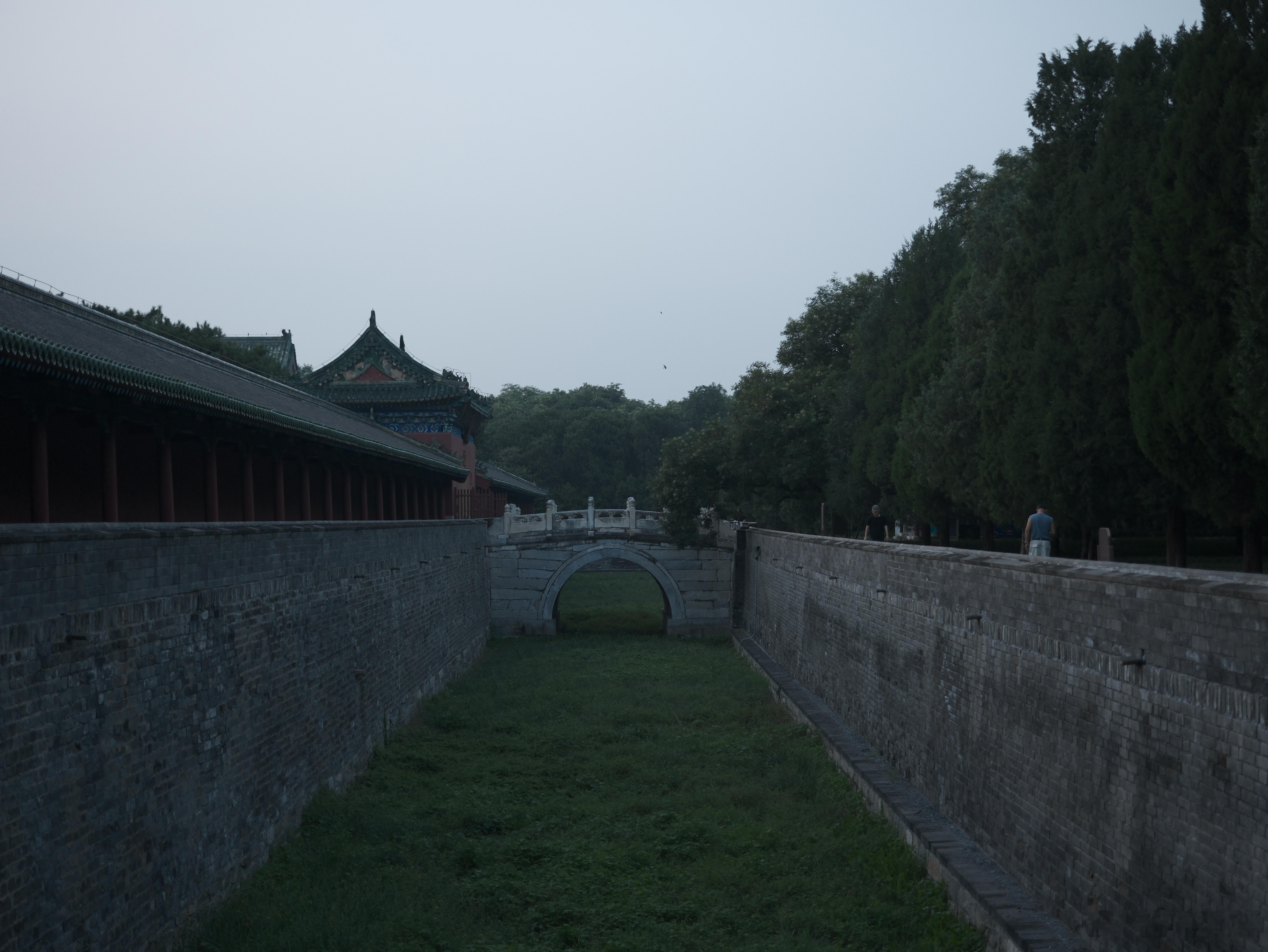 夜游天坛，北京好多树都是几百年前的，震撼到我了，从此以后我都会毫无保留的赞美北京