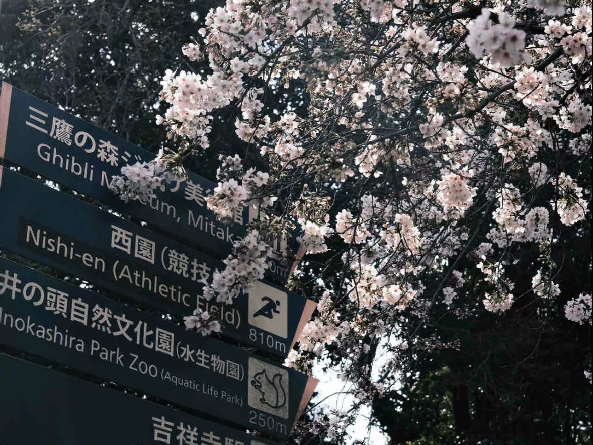 你逃避问题 但问题如约而至 我们分开. ​​​