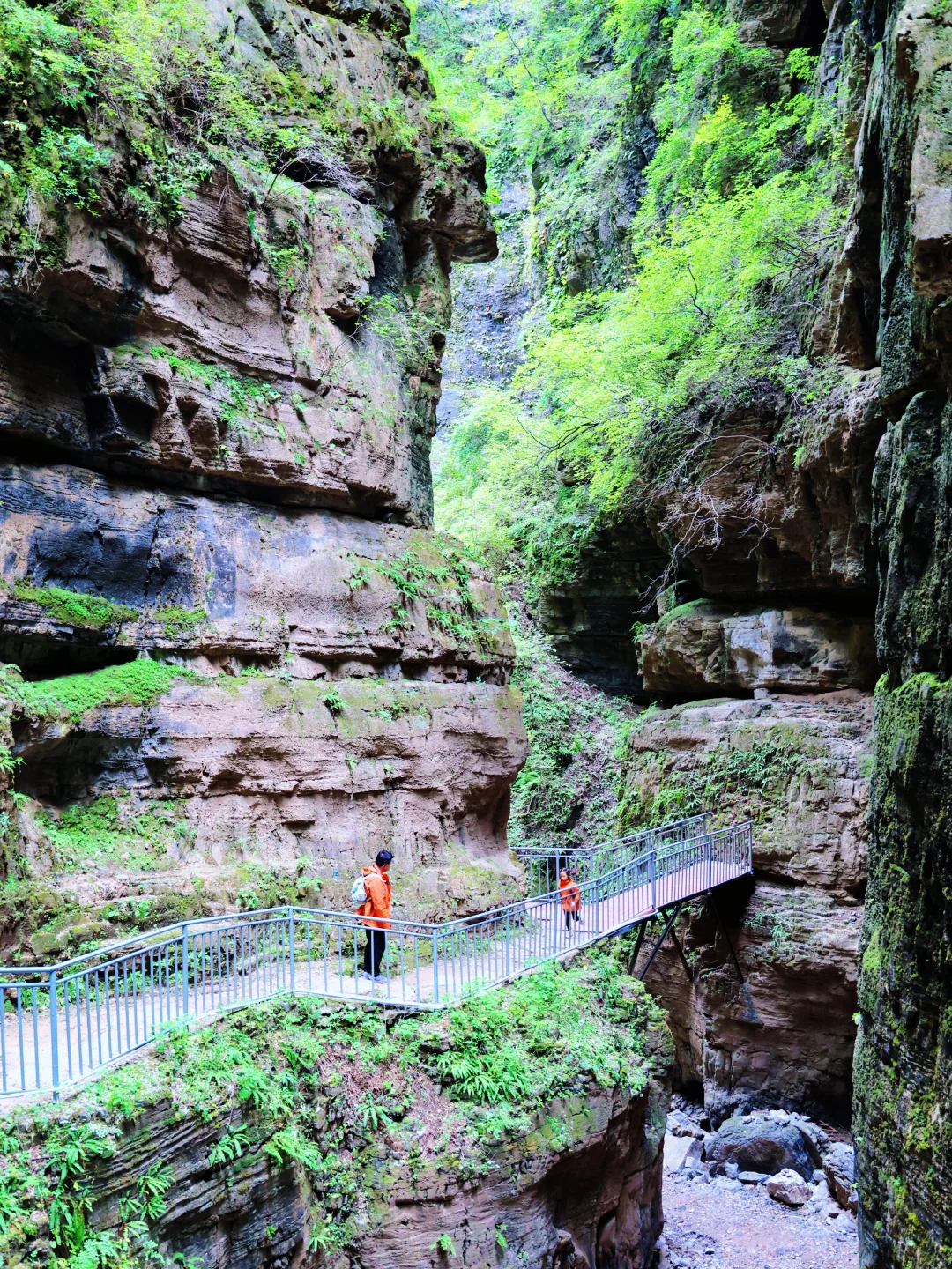 一条堪称天花板的亲子徒步路线❗️附攻略