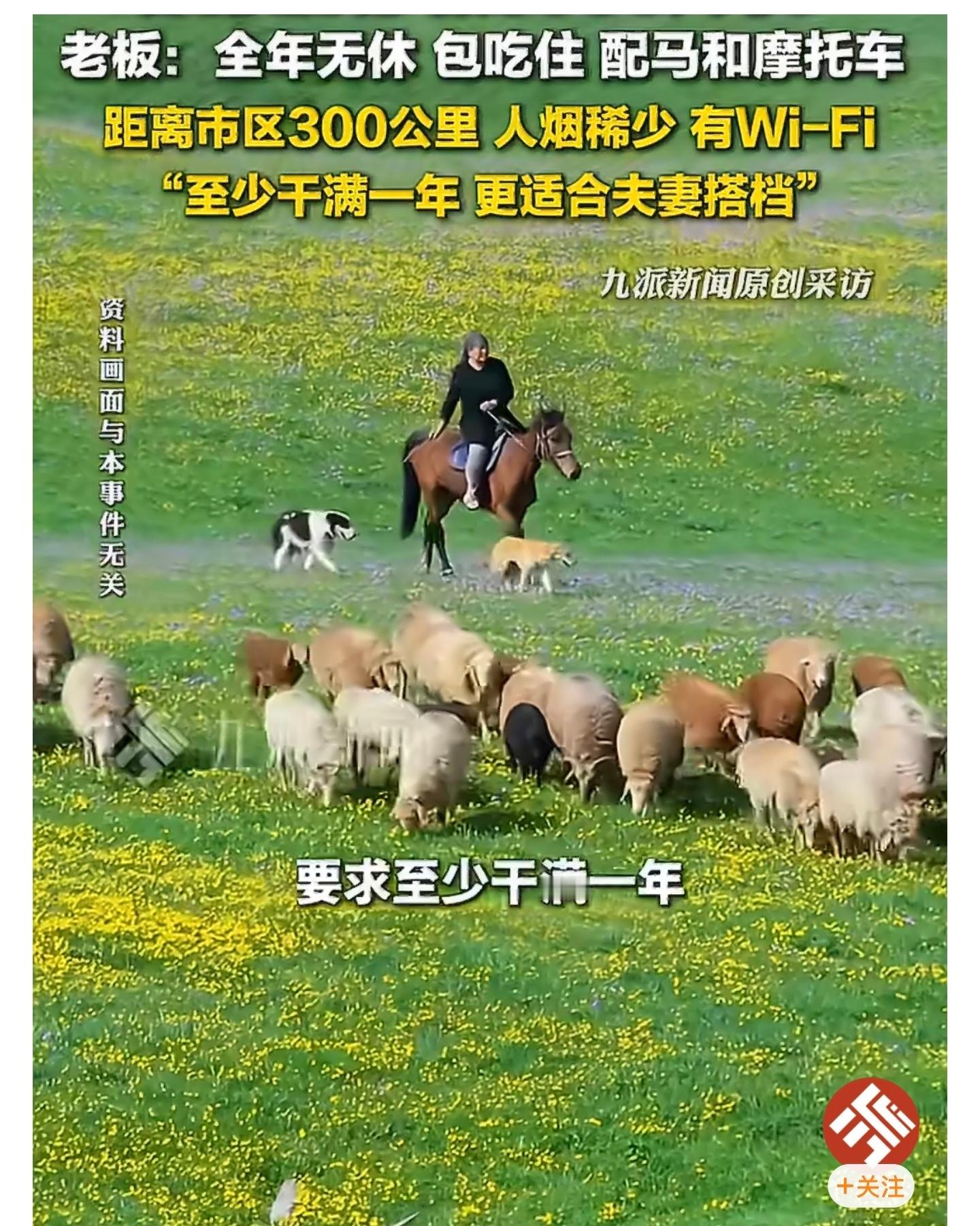 月薪1.6万招人放羊包吃住有WiFi确实是好工作！但是也没那么容易，冬天比较难熬